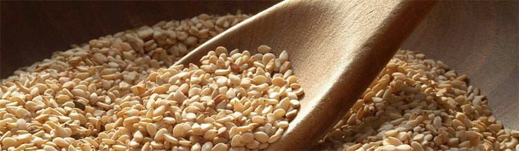 Zaragatona: aliada natural para adelgazar
