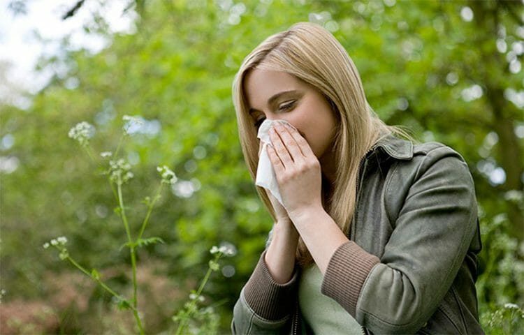 Alergia primaveral