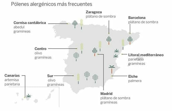 Pólenes alergénicos más frecuentes