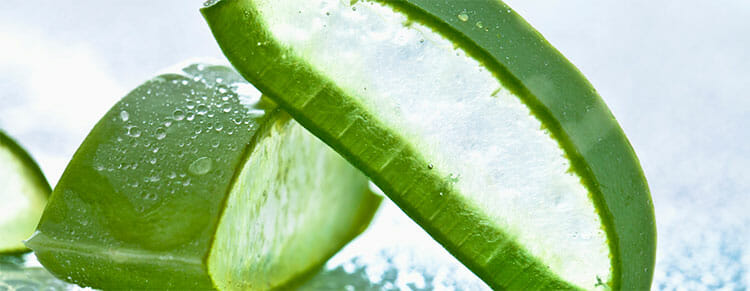 Beneficios del aloe vera para el herpes labial