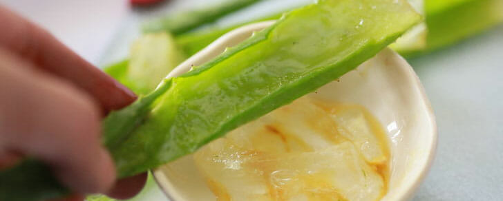 Gel de aloe vera
