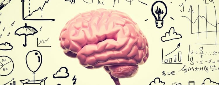 Cerebro emocional y cerebro racional: funciones y diferencias