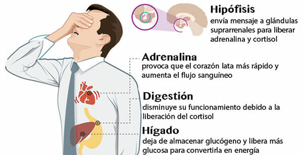 Consecuencias del estrés