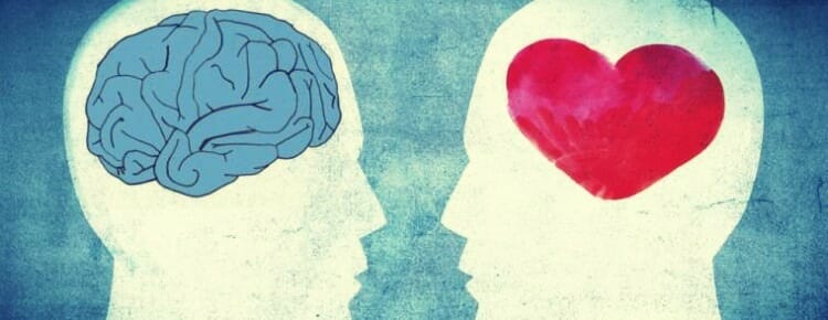 Diferencias físicas entre el cerebro emocional y el cerebro racional