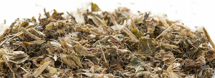 Infusión de cardo mariano