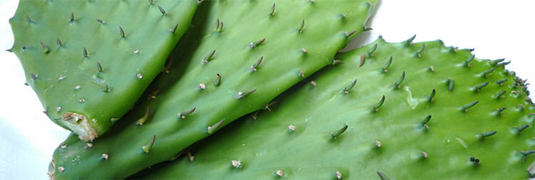 Jugo verde de nopal y apio