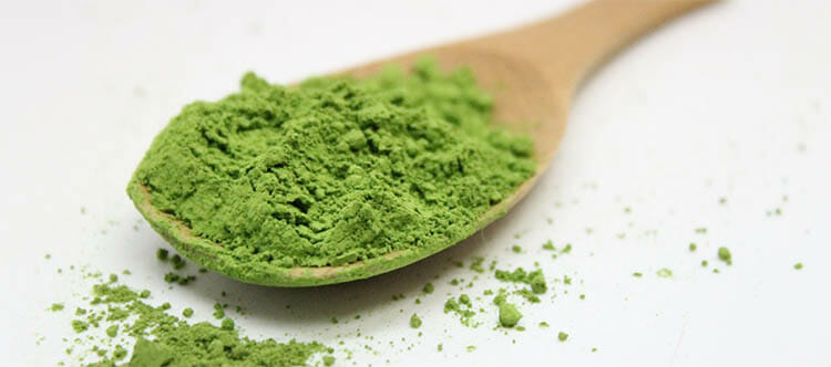 Té verde matcha para adelgazar