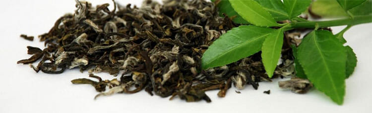 Té verde para la retención de líquidos
