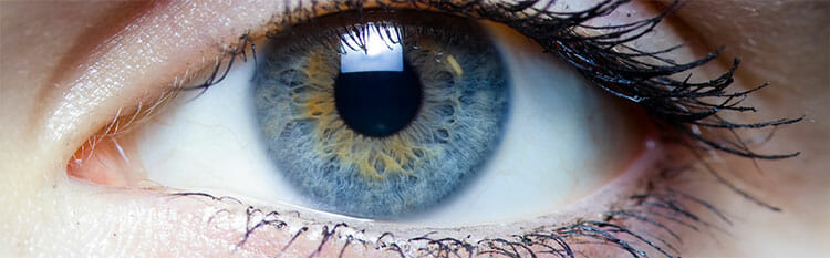 Desprendimiento de retina