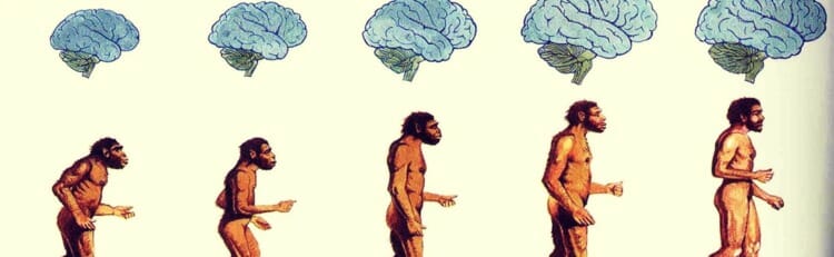 Teoría de la evolución de Darwin