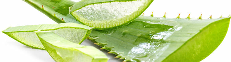 Aloe vera, propiedades antiinflamatorias y analgésicas