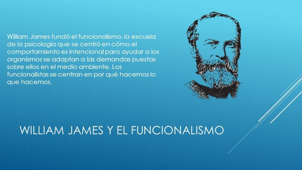 Teoría del funcionalismo en Psicología