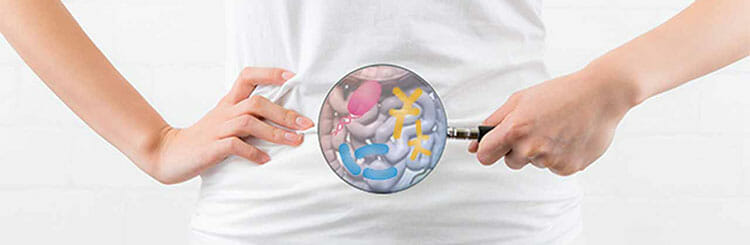 Flora intestinal