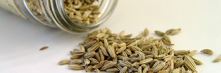 Infusión de hinojo