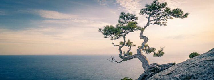 Mindfulness: qué es y qué beneficios aporta