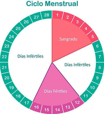 Ganar peso durante el ciclo menstrual