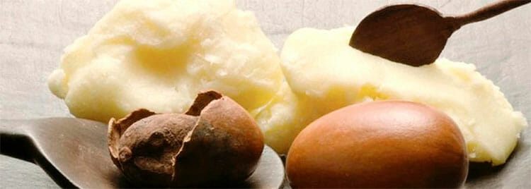 Manteca de Karité: múltiples propiedades para la piel y el cabello