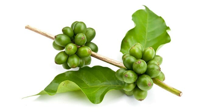 Beneficios del café verde