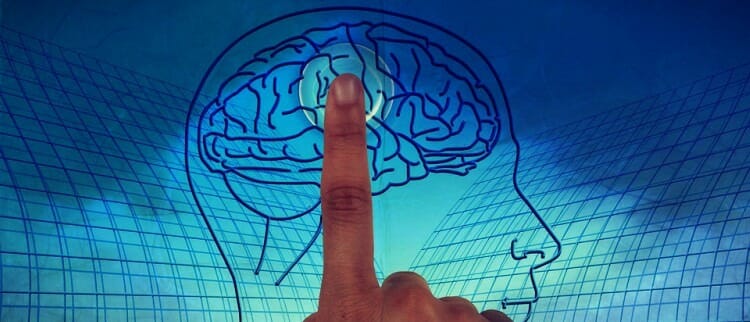 Cuál es la función del neuropsicólogo