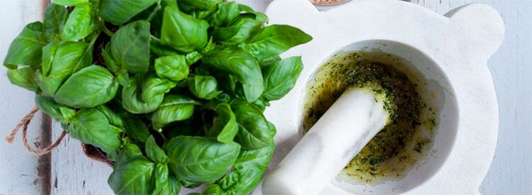 Pesto de albahaca
