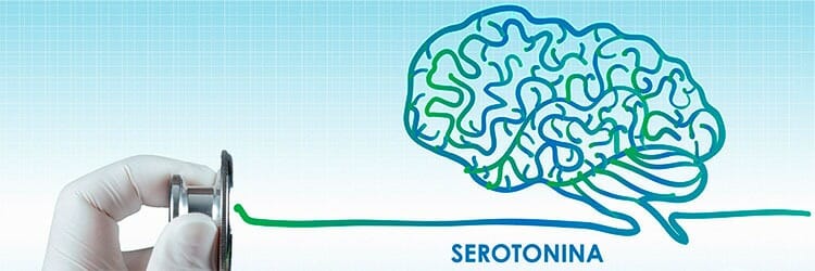 Serotonina