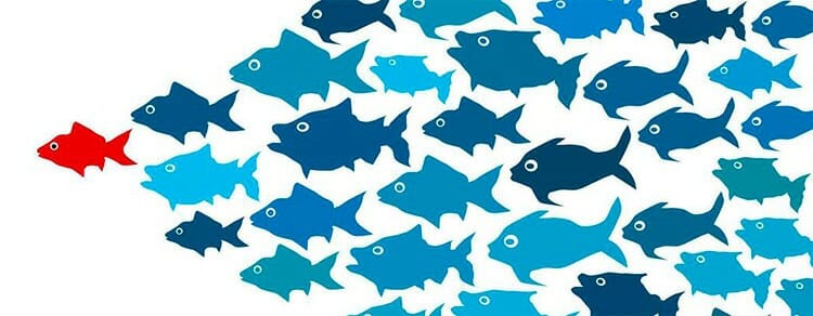 Tipos de liderazgo en empresas