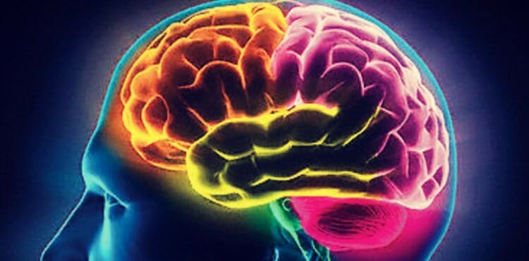 Tipos de psicologia
