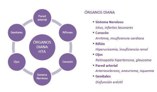 Órganos diana de enfermedades