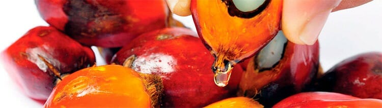 Aceite de palma: malo para la salud