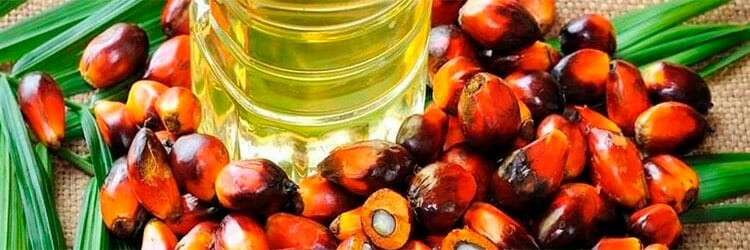 Por qué el aceite de palma es tan malo para la salud