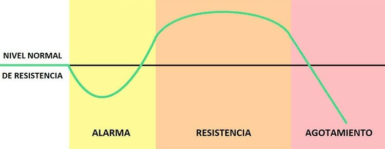 Fases del estrés