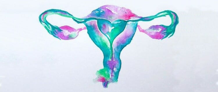 Aparato reproductor femenino