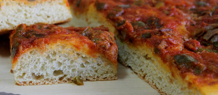 Coca de tomate y pimientos