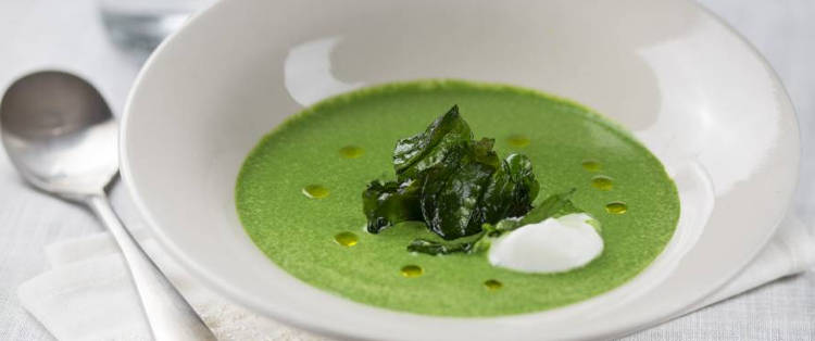Crema de espinacas