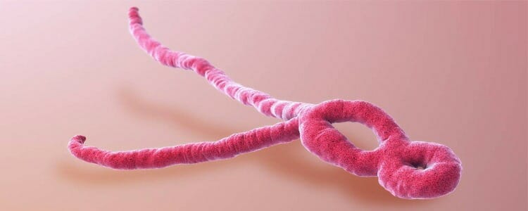 Ébola