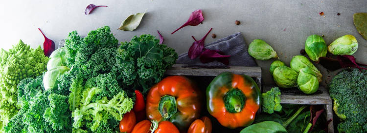 Recetas de verdura fáciles para cuidar tu salud