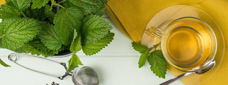 Infusión de toronjil