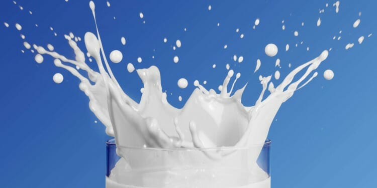 Leche de magnesia
