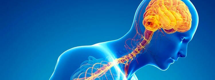 Enfermedades relacionadas con el sistema nervioso periférico