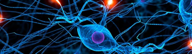 Neurociencia