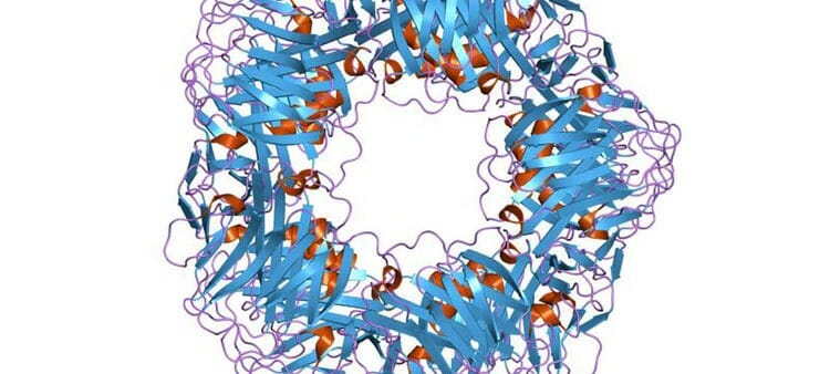 Proteína C reactiva