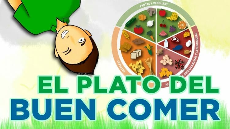 el plato del buen comer para niños