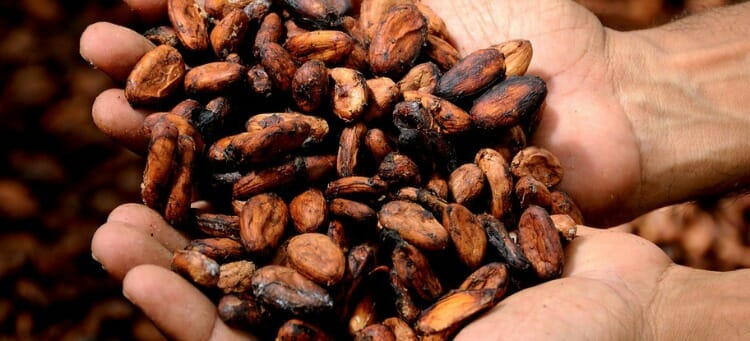 Beneficios del chocolate