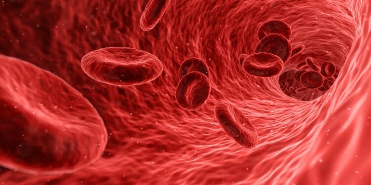 Tipos de sangre