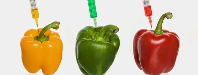 Alimentos transgénicos