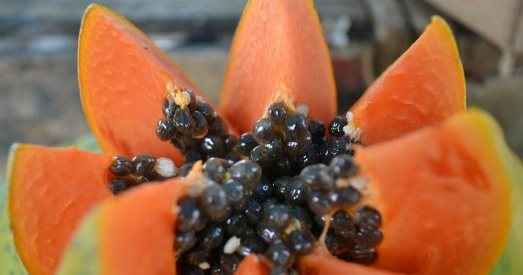 Beneficios de la papaya