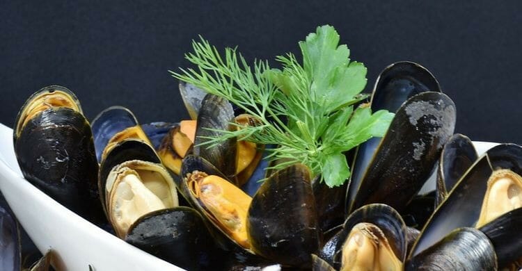 Mejillones