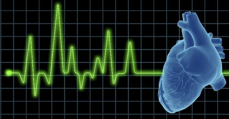 ¿Cómo se realiza el ecocardiograma?