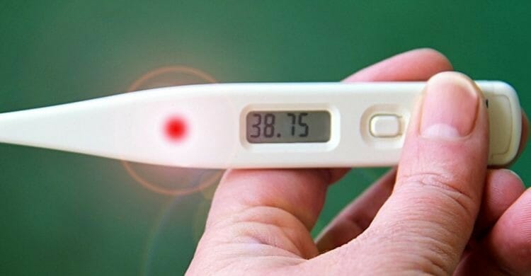 ¿Cuáles son las enfermedades más comunes en otoño?
