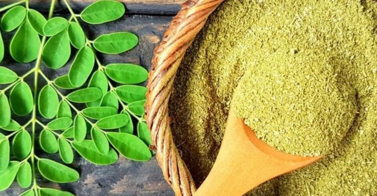 Moringa
